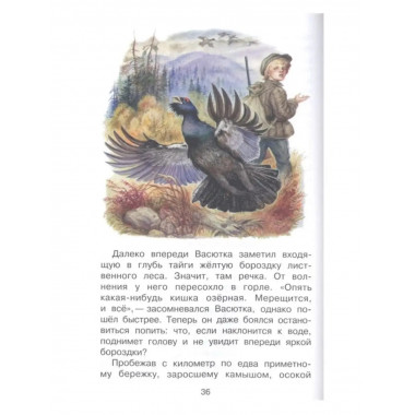 Васюткино озеро.