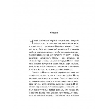 Бродяги Севера. Казан.