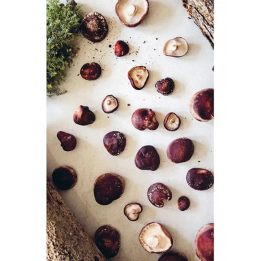 Ведьма на кухне. Волшебные рецепты для здоровья, энергии