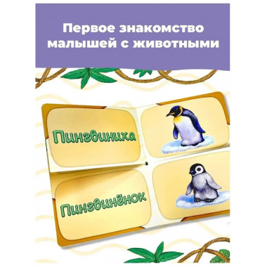 В зоопарке. Мамы и малыши.