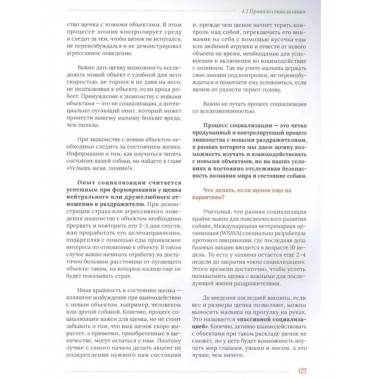 Главная книга владельца собаки.