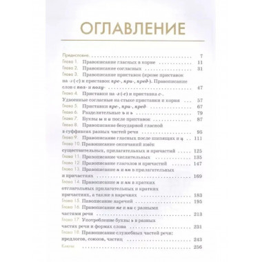 Русский язык. Орфография.