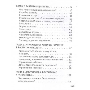 СаМЯУчитель. Как правильно играть с кошкой.