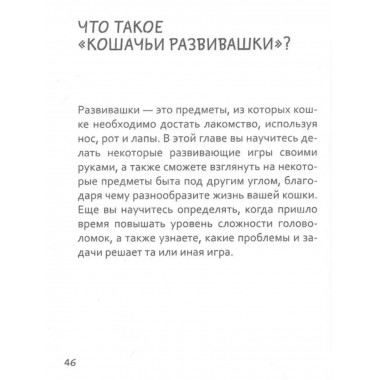 СаМЯУчитель. Как правильно играть с кошкой.