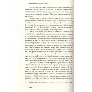 Великий квест.
