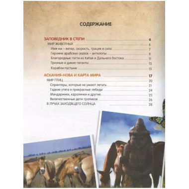 О птичках, рыбках и зверюшках.