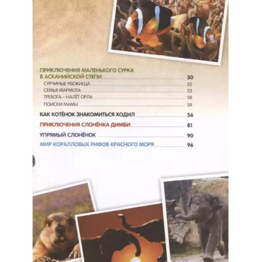 О птичках, рыбках и зверюшках.