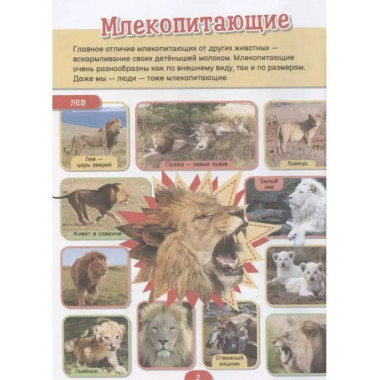 5000 фотографий, которые можно рассматривать целый год.