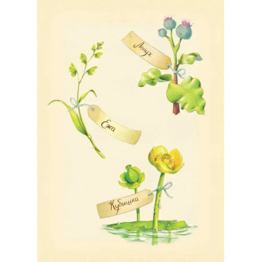 Книга цветов. Мальчик-Одуванчик.