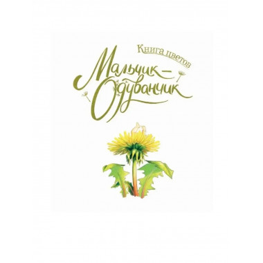 Книга цветов. Мальчик-Одуванчик.