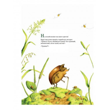 Книга цветов. Мальчик-Одуванчик.