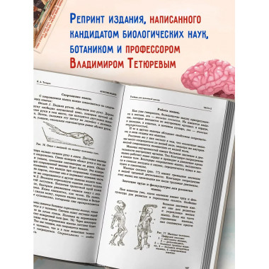 Естествознание. Учебник в двух частях. 1939-1940