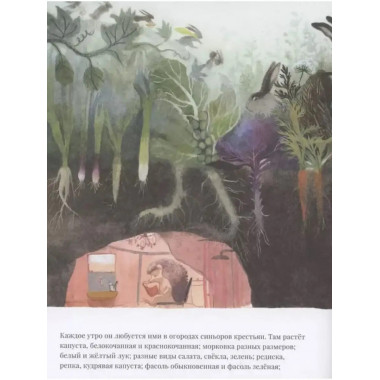 Суп синьора Лепрона.