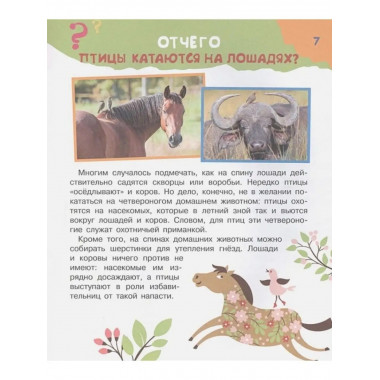 Почему, зачем и как? Самые интересные детские вопросы.