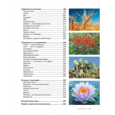 Большая книга о растениях. 1001 фотография.
