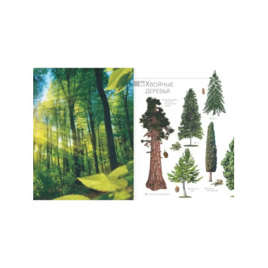 Большая книга о растениях. 1001 фотография.