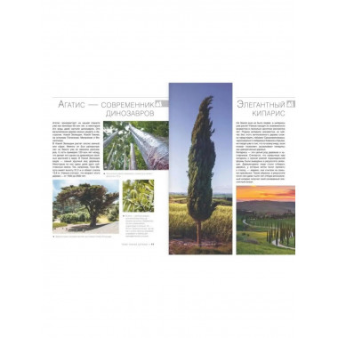 Большая книга о растениях. 1001 фотография.