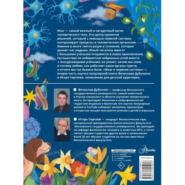 Мозг и нервная система.