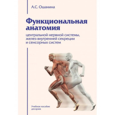 Функциональная анатомия центральной нервной системы, желез