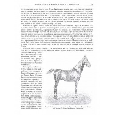 Книга о лошади. Настольная книга для каждого конозаводчика