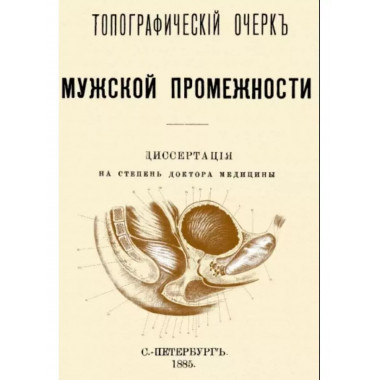 Топографический очерк мужской промежности.