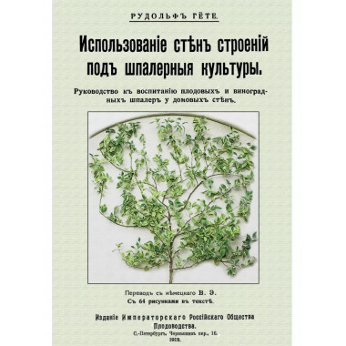 Использование стен строений под шпалерные культуры.