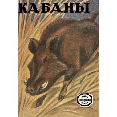 Кабаны. (серия Лики звериные - рассказы