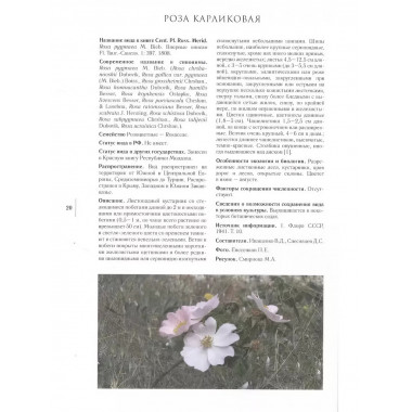 Gennuria plantarum rariorum russiae meridoinalis