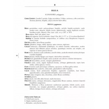 Gennuria plantarum rariorum russiae meridoinalis