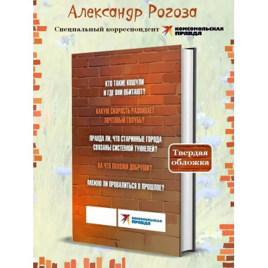 Добруши и кошули. Тайна башни.