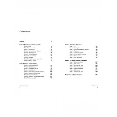 Добруши и кошули. Тайна башни.