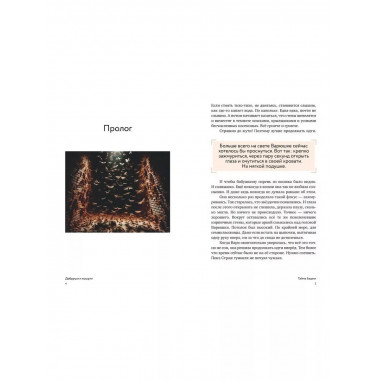 Добруши и кошули. Тайна башни.