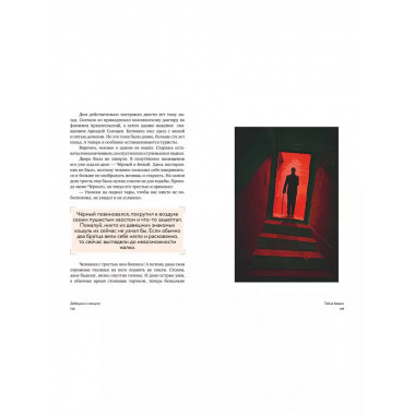 Добруши и кошули. Тайна башни.