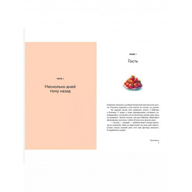 Добруши и кошули. Тайна башни.