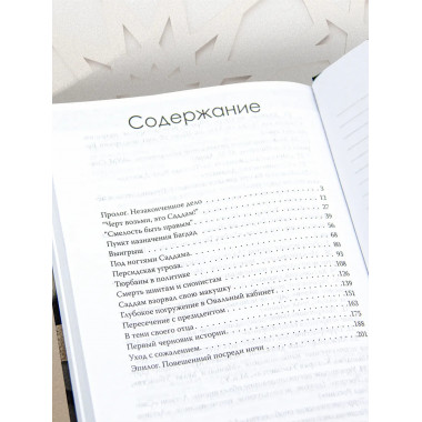 Допрос президента. Встреча с Саддамом Хусейном.