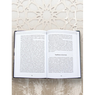 Допрос президента. Встреча с Саддамом Хусейном.