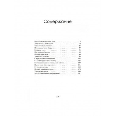 Допрос президента. Встреча с Саддамом Хусейном.