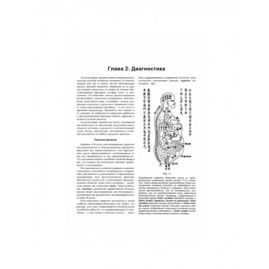 Современная китайская акупунктура. Торсен Л.В.