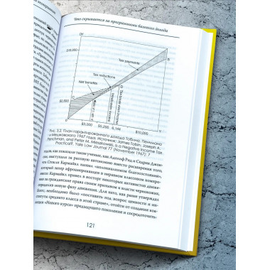 Социальный эксперимент. Что скрывается за программами