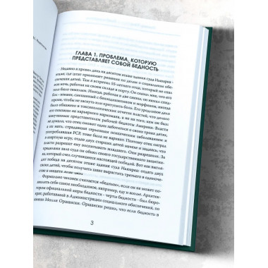 Голод и роскошь: Неравенство в сердце Америки. Виктор Чанг