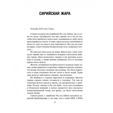 Сирийская жара. Печать секретности. Дегтярева И.