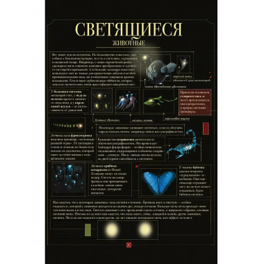 Диковинные животные. Парески Д.