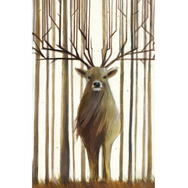 Диковинные животные. Парески Д.