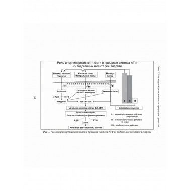 Формула жизни: законы природы и организм человека.