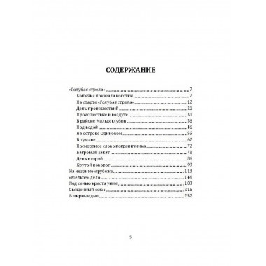 Голубая стрела. Черносвитов В.М.