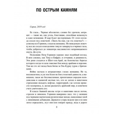 По острым камням. Новобранцы холодной воны. Дегтярева И.