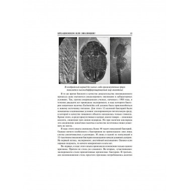 100 великих тайн Библии. Бернацкий А.С.