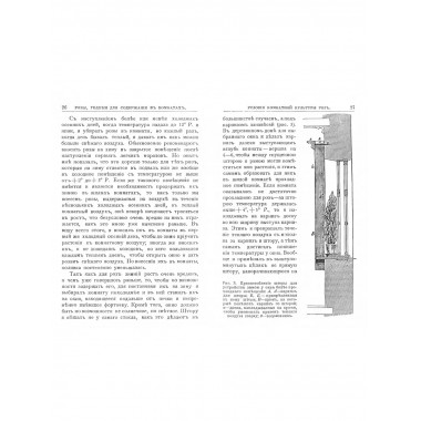 Розы, годные для содержания в комнате, и их культура.