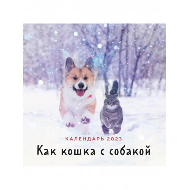 Как кошка с собакой. Календарь настенный на 2023 год (300х30