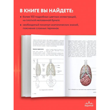 Анатомия голоса. Иллюстрированное руководство для певцов, пр